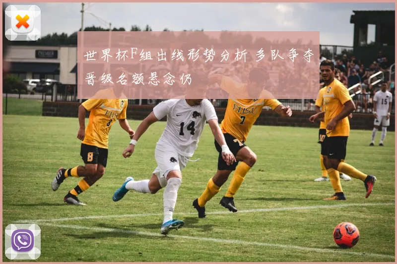 世界杯F组出线形势分析 多队争夺晋级名额悬念仍