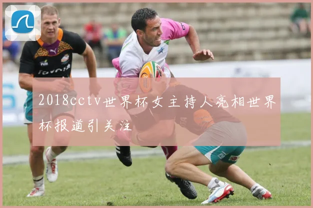 2018cctv世界杯女主持人亮相世界杯报道引关注