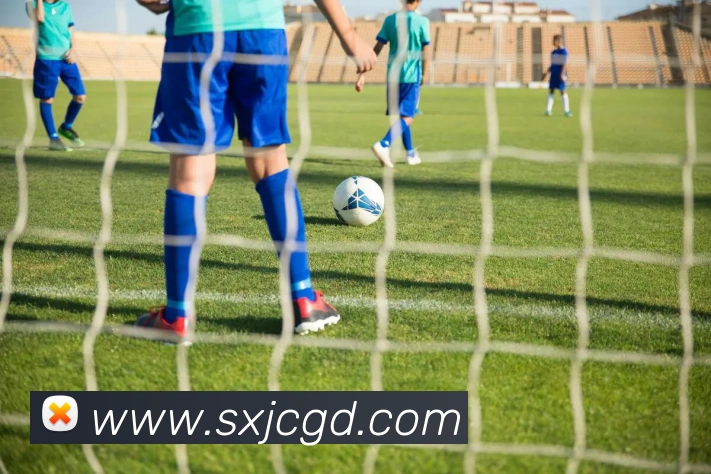 投注app官网APP 封面图